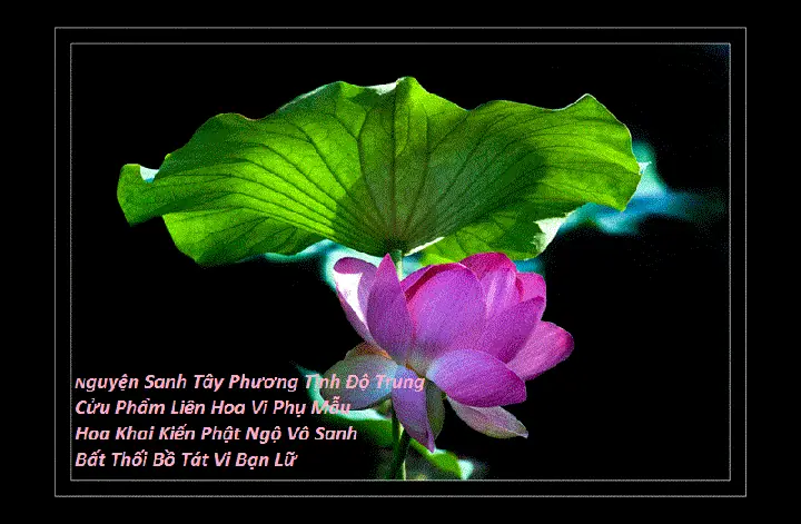 Thơ – Thư Pháp Phật Giáo | Giác Chúng Sanh Hữu Tình ...