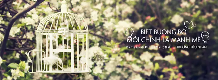 Thơ Hay Buông Bỏ Mới Nhất