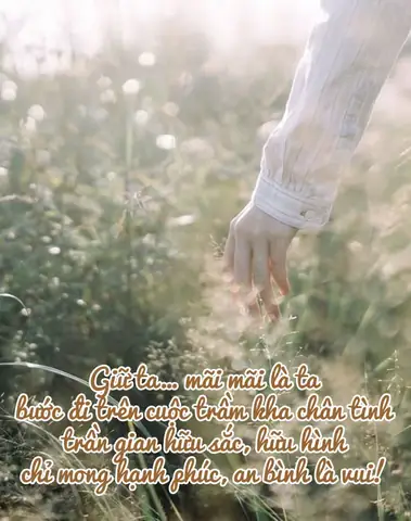 Hạt Bụi Vô Thường (tác Giả: Toàn Tâm Hòa)