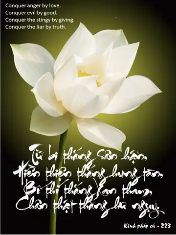 Kinh-phap-cu-223-600x800