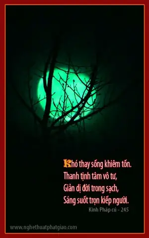 1299210435-phapcu-nhuanthuongdesign1