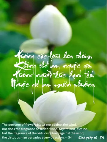 Hinhhoasen-kinh-phap-cu-54b