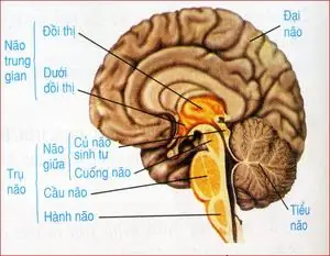 Tiên Phật Từ Huấn