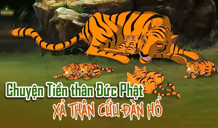 Câu Chuyện Tiền Kiếp Của Đức Phật Hiến Thân Cứu Đàn Hổ Đói