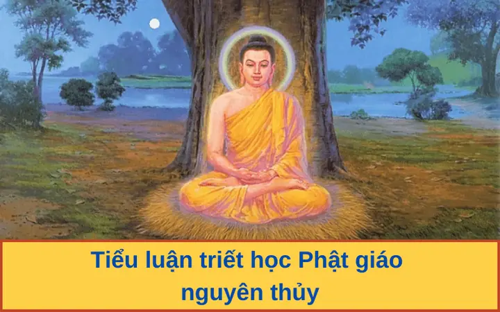 Tiểu Luận Triết Học Phật Giáo Nguyên Thủy
