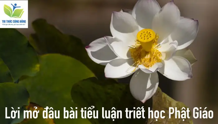 Lời Mở Đầu Tiểu Luận Triết Học Phật Giáo Là Gì?