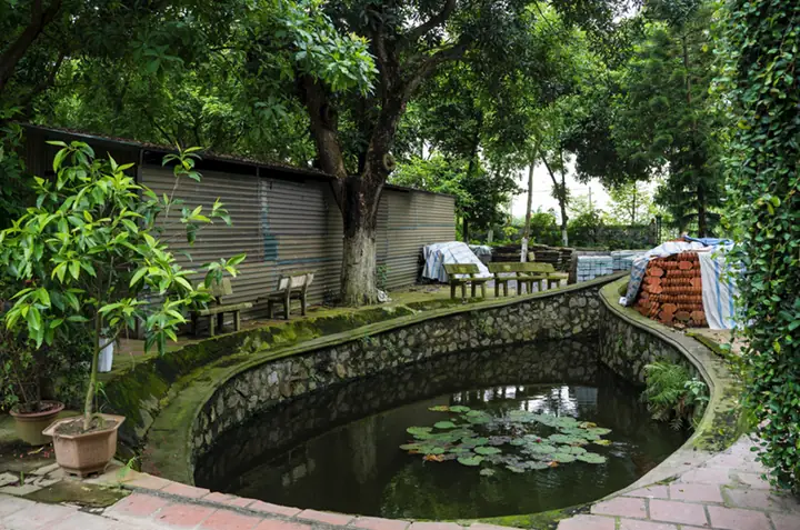 Nét Tương Đồng Về Nguồn Gốc