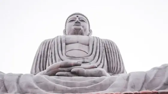 Vô Tình Vứt Tượng Phật Vào Túi Rác Có Bất Kính Không?