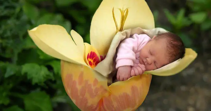 Phá Thai: Một Góc Nhìn Phật Giáo | Giác Ngộ Online