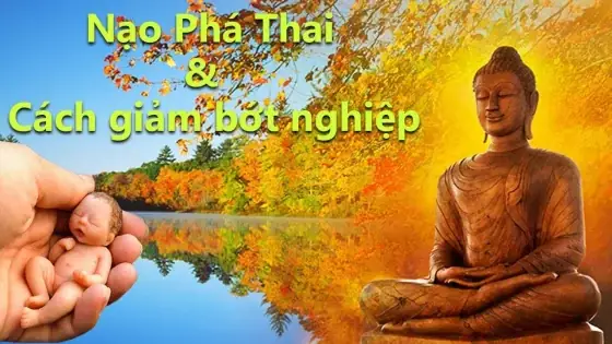 Quan Điểm Phật Giáo Về Phá Thai Và Cách Chuyển Nghiệp