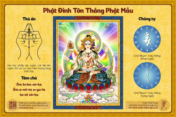 Phần 13: Kết Ấn Và Quán Tưởng