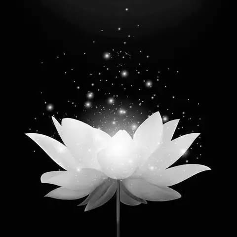 Avatar Hình Đại Diện Chia Buồn: Ý Nghĩa Văn Hóa Và Kích Thước Chuẩn