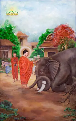 Phần 6: Cuộc Đời Đức Phật Thích Ca Trong Quá Trình Giáo Hóa