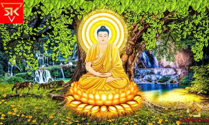 Thông Tin Chi Tiết