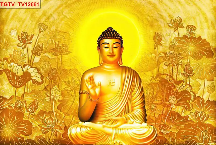 Thông Tin Chi Tiết