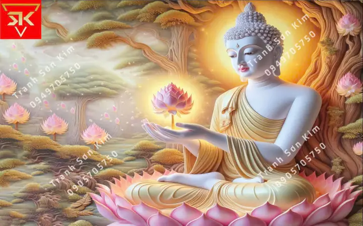 Thông Tin Chi Tiết