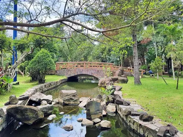 Bộ Sưu Tập Cổ Vật Độc Đáo: Chứng Tích Của Lịch Sử