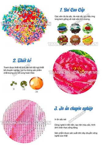 Thông Tin Chi Tiết