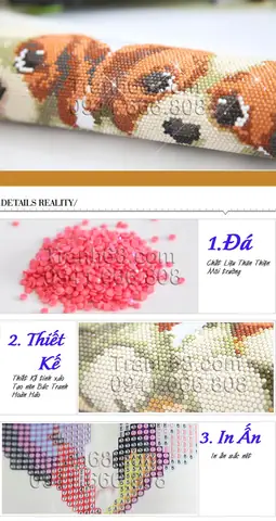 Thông Tin Chi Tiết