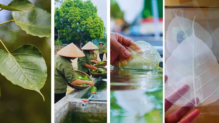 Tranh Lá Bồ Đề Phật