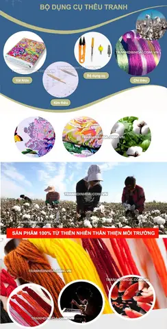 Thông Tin Chi Tiết