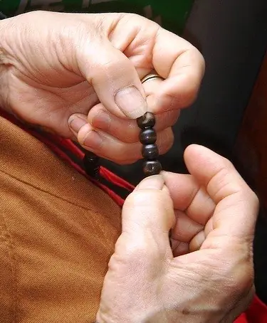 Chỉ Rõ Công Phu Niệm Phật | Giác Ngộ Online