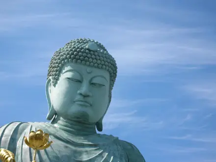 Những Cách Thức Tu Tập Để Có Được Trí Tuệ - Phật Giáo Quảng Nam