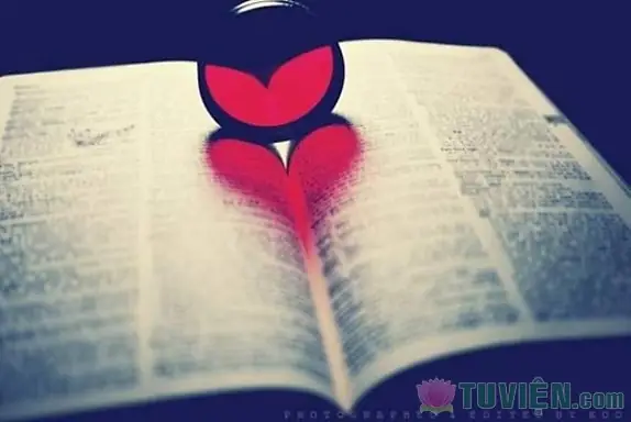 Triết Lý Nhà Phật Về Tình Yêu