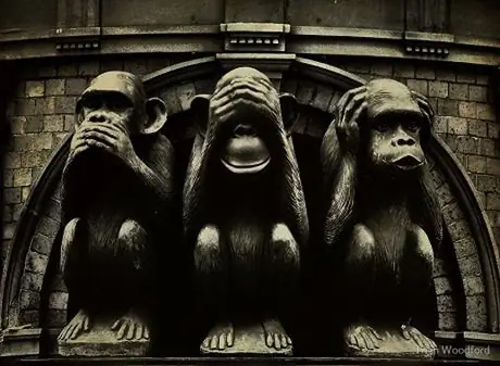 Triết Lý Sâu Sắc Đằng Sau 3 Chú Khỉ “che Mắt, Che Tai, Che Miệng”