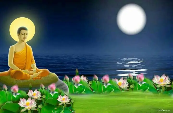 Trực Chỉ Nhân Tâm, Kiến Tánh Thành Phật