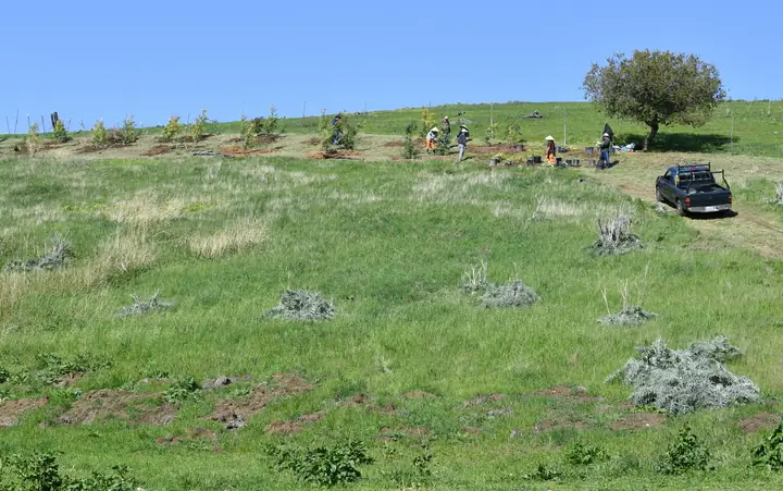 Trung Tâm Phật Giáo Cho Hòa Bình Tại San Jose, Hoa Kỳ.