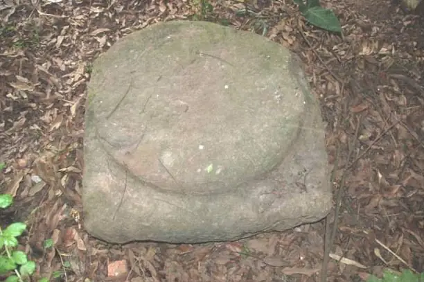 Trung Tâm Phật Giáo Luy Lâu