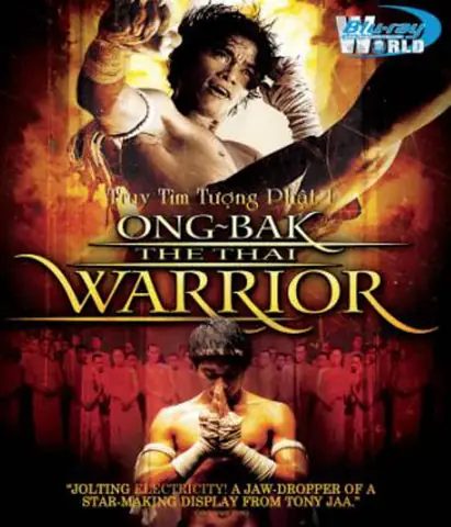 Hướng Dẫn Chi Tiết Về Việc Truy Tìm Tượng Phật: Những Điều Cần Biết Và Lưu Ý