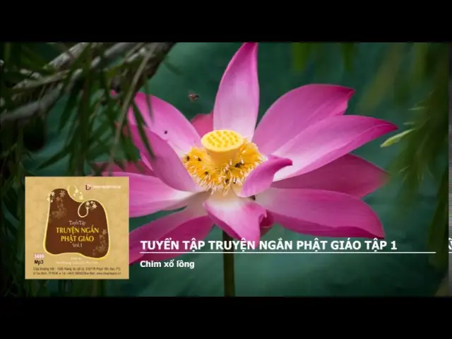 100+ Truyện Ngắn Phật Giáo Hay Nhất: Giác Ngộ, Từ Bi & Nhân Quả