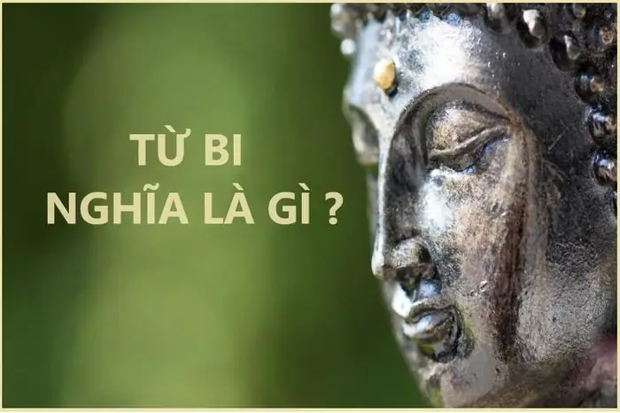 Từ Bi Nghĩa Là Gì? - Tạp Chí Nghiên Cứu Phật Học