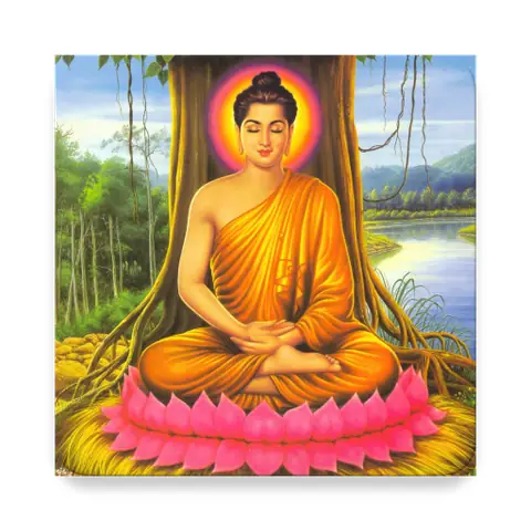 Từ Điển Phật Học - Ứng Dụng Trên Google Play