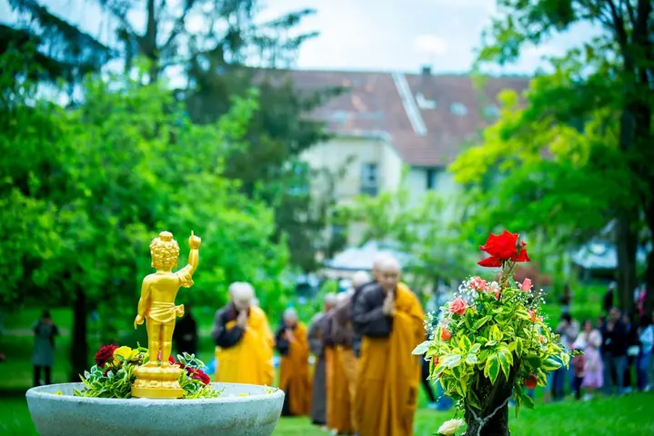 Tu Học Đúng Pháp: Cách Bảo Vệ Chánh Pháp Hữu Hiệu