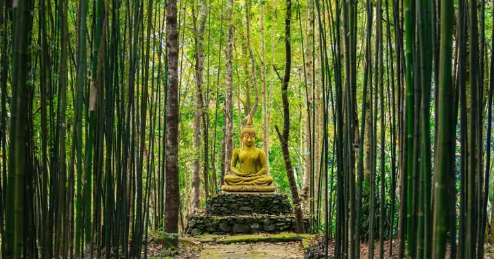 Tư Tưởng Phật Giáo Đại Thừa Từ Thế Kỷ I Đến Thế Kỷ Xv | Giác Ngộ ...