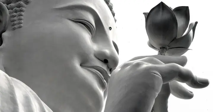 Tuệ Giác Của Đức Phật | Giác Ngộ Online