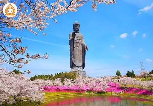 Ảnh Tượng Phật A Di Đà Lớn Nhất Thế Giới.