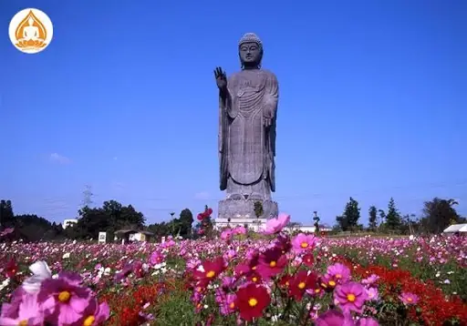 Ảnh Tượng Phật A Di Đà Lớn Nhất Thế Giới.