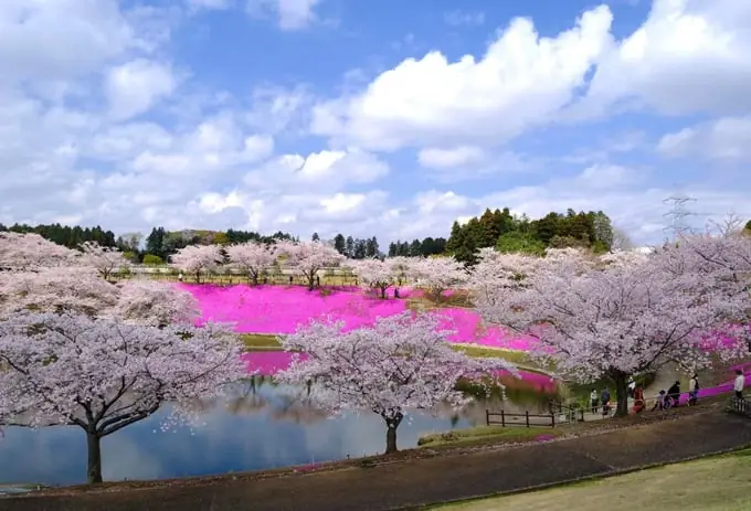 Thế Giới Liên Hoa Trên Tầng Ba Là Điện Thờ Chính Của Ngôi Chùa, Với Khoảng 3.400 Tượng Phật Bằng Vàng Được Đặt Trên Tường