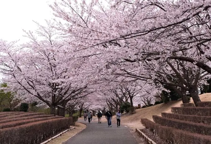 Công Viên Rộng 10.00m2 Dưới Chân Đại Phật