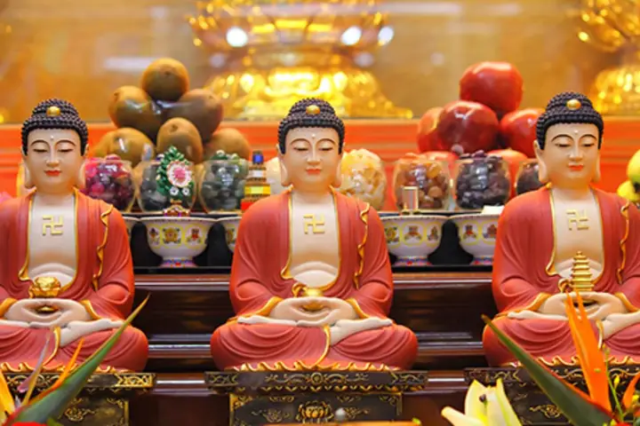 Bước 3: Tái Khởi Tâm Tu Tập