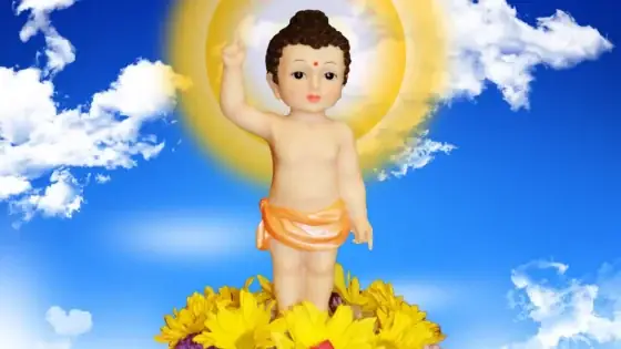 Ý Nghĩa Khi Đức Phật Một Tay Chỉ Trời, Một Chỉ Đất Và Câu Nói 'duy ...