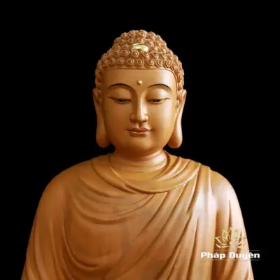 Alternative View Of Tượng Thích Ca Mâu Ni Ngồi Đài Sen, Gỗ Hương Chương (long Não), Cao 66cm