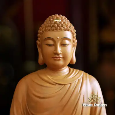 Alternative View Of Tượng Bổn Sư Thích Ca, Chất Liệu Gỗ Hương Chương (long Não), Cao 40-48cm