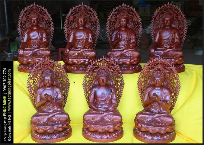 Co So Tac Tuong Phat Phuc Minh