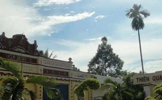 Cây Sao Trong Chùa Thiên Quang Bị Đồn Thổi Có Hiện Tượng Phật Hiển Linh.