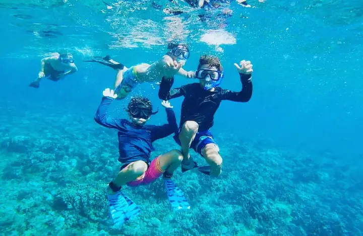 [nha Trang Passport] - [01 Ngày] - Tour Snorkeling + Ăn Trưa & Tắm Bùn Hòn Tằm + Vinpearl Harbour + Tata Show